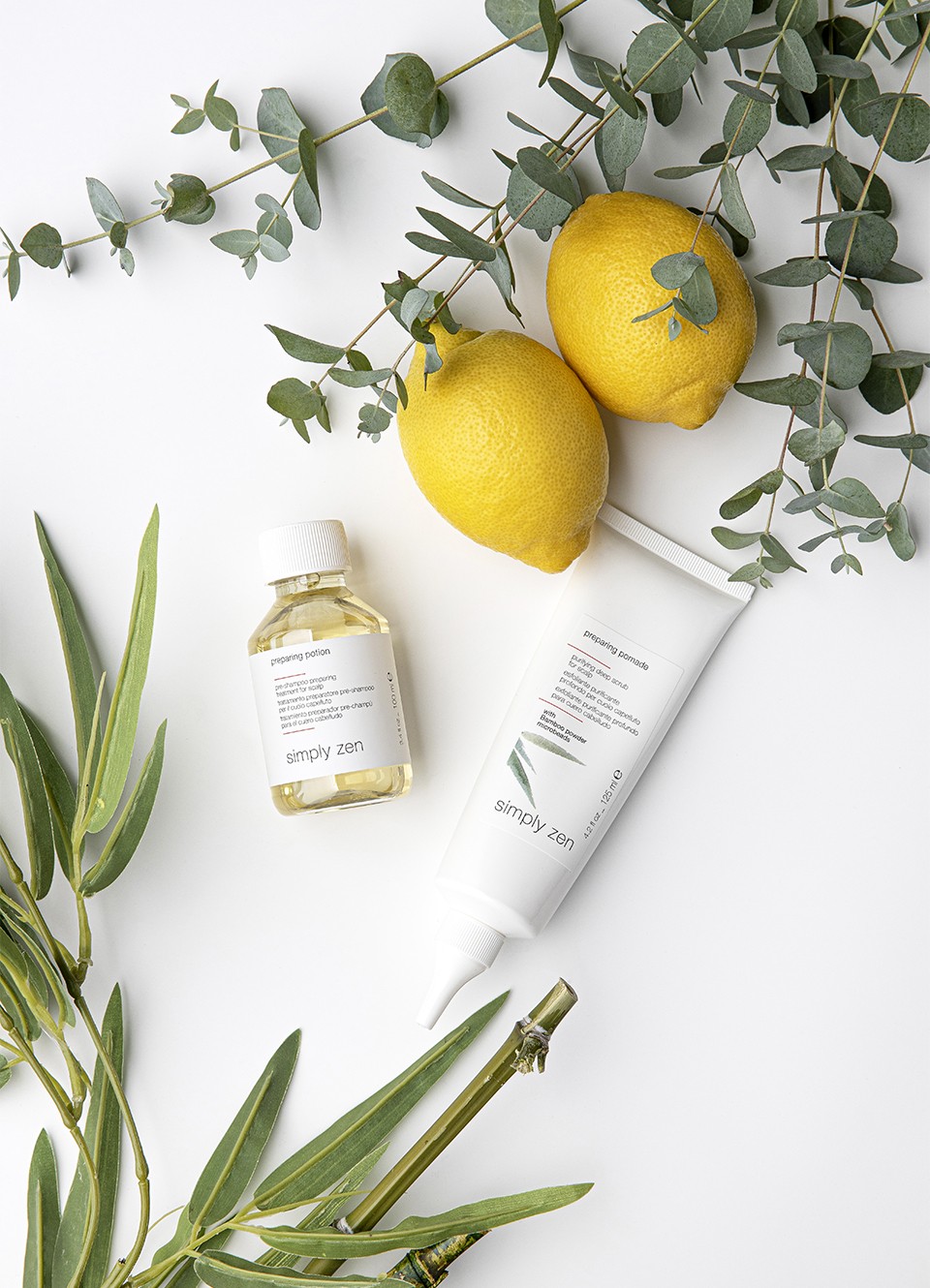 1_IMG_SZ_artistiche_960x620px_72_DPI_preparing